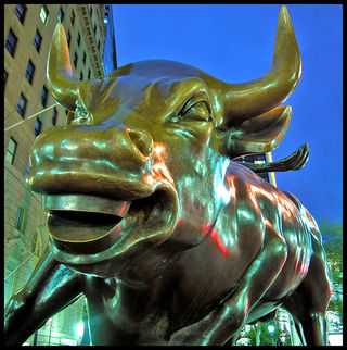 Laughing bull
